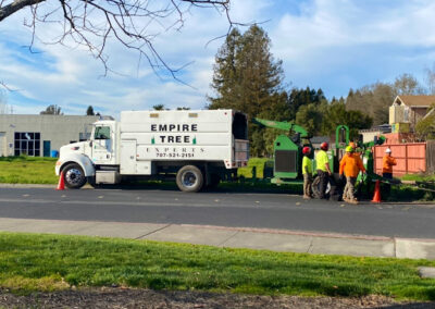 Emergency Tree Services Santa Rosa CA