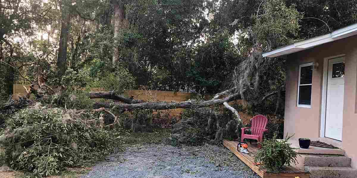 what happens if my tree falls on my neighbor's house